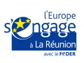 logo feder